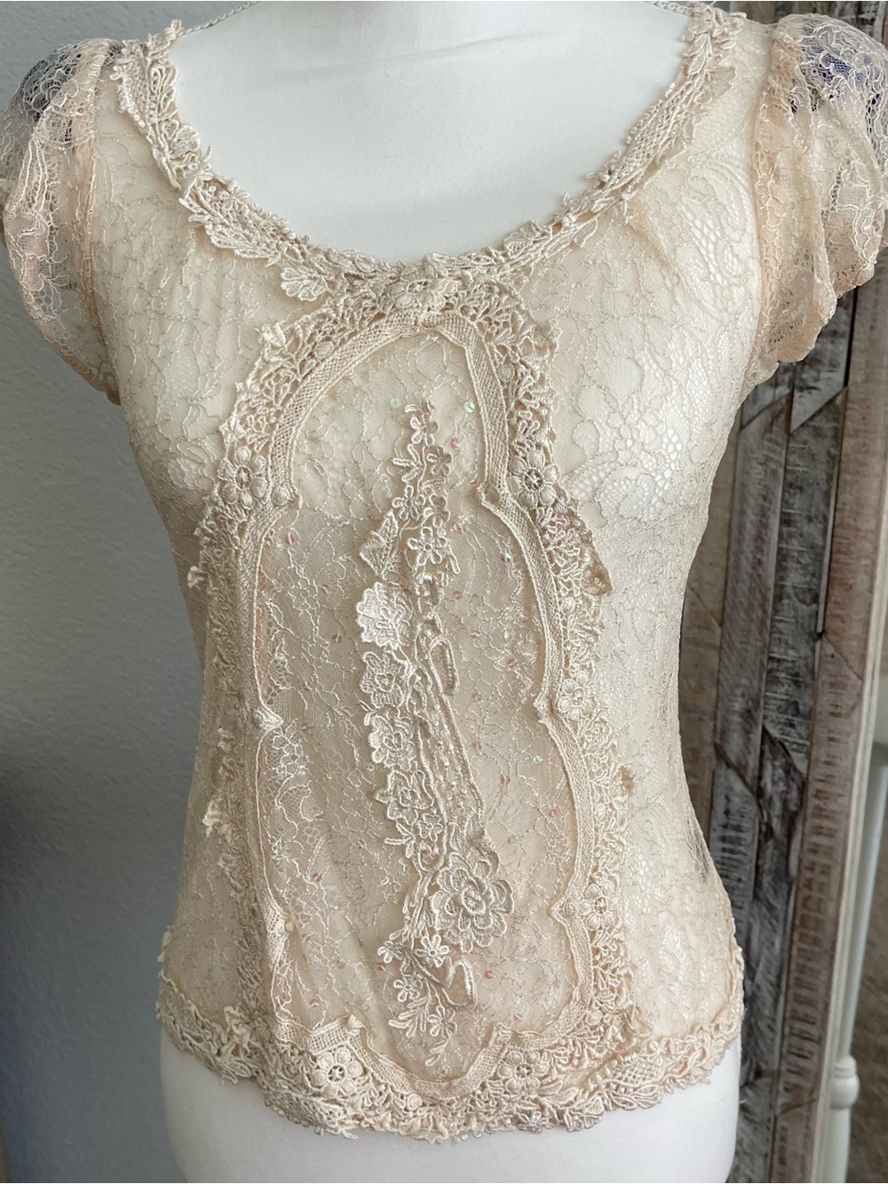 Sheer Lace Embroidered Cap Sleeve Top in Soft Beige